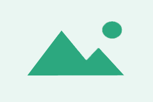 #7513 BMT-USB Redirector Technician Edition 1 Month Activation For Windows PC NO VPN